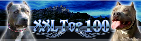 XXL Pits Top 100